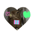 うさぎの茶太郎スタンプ（個別スタンプ：14）
