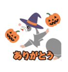 ハロウィン〜人気のフェレットスタンプ（個別スタンプ：1）