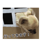 ぼく、トイ（個別スタンプ：9）