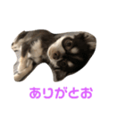 めんとろ2（個別スタンプ：7）