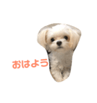 めんとろ2（個別スタンプ：15）