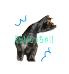 愛猫 ジジたん（個別スタンプ：14）