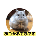 愛し癒しのハムスターズ（個別スタンプ：4）