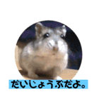 愛し癒しのハムスターズ（個別スタンプ：6）