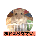 愛し癒しのハムスターズ（個別スタンプ：8）