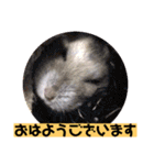 愛し癒しのハムスターズ（個別スタンプ：10）