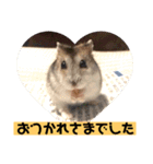 愛し癒しのハムスターズ（個別スタンプ：13）