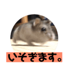 愛し癒しのハムスターズ（個別スタンプ：14）