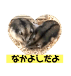 愛し癒しのハムスターズ（個別スタンプ：23）