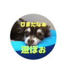 じょーちゃんの無難なスタンプ（個別スタンプ：12）