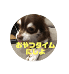 じょーちゃんの無難なスタンプ（個別スタンプ：13）