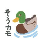 生き物たちの駄洒落スタンプ（個別スタンプ：7）