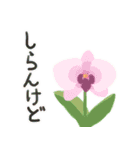 生き物たちの駄洒落スタンプ（個別スタンプ：8）