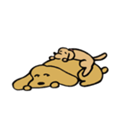 ちぇるちぇるスタンプ2（個別スタンプ：8）