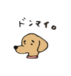 ちぇるちぇるスタンプ2（個別スタンプ：21）