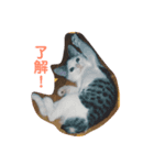 ゆいと猫のスタンプ（個別スタンプ：4）