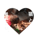 わんぱくっこ（個別スタンプ：24）