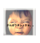 すごは（個別スタンプ：13）