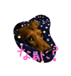 とらときゅうの1日（個別スタンプ：4）