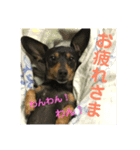 とらときゅうの1日（個別スタンプ：6）