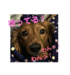とらときゅうの1日（個別スタンプ：8）