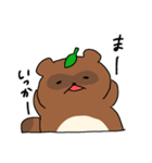 たぬきのたぬ 時々バドミントン（個別スタンプ：8）