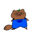 たぬきのたぬ 時々バドミントン（個別スタンプ：36）