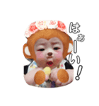 しゅーちゃん可愛いスタンプ（個別スタンプ：1）