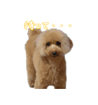 なま＆むぎ3（個別スタンプ：3）