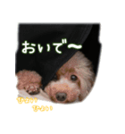 なま＆むぎ3（個別スタンプ：4）