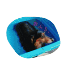 犬たちの日常（個別スタンプ：15）