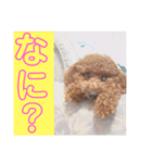 メロンたん（個別スタンプ：3）