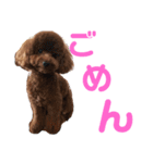 メロンたん（個別スタンプ：7）