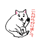 コンさん（個別スタンプ：5）