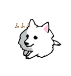コンさん（個別スタンプ：20）
