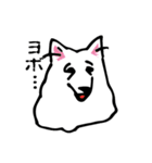 コンさん（個別スタンプ：25）