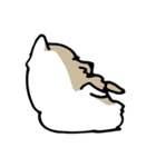 コンさん（個別スタンプ：29）