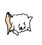 コンさん（個別スタンプ：35）