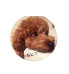techitechi’s stamp（個別スタンプ：5）