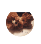 techitechi’s stamp（個別スタンプ：7）