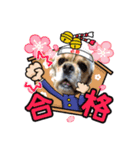 ハッピー芽莉ちゃん03（個別スタンプ：12）