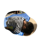 はる！はる！#2（個別スタンプ：12）