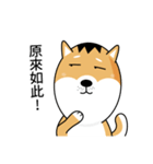 バッハの犬バッハの犬（個別スタンプ：2）