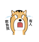 バッハの犬バッハの犬（個別スタンプ：3）