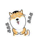 バッハの犬バッハの犬（個別スタンプ：5）