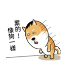 バッハの犬バッハの犬（個別スタンプ：7）