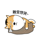 バッハの犬バッハの犬（個別スタンプ：10）