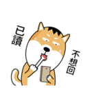 バッハの犬バッハの犬（個別スタンプ：11）