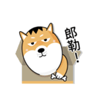 バッハの犬バッハの犬（個別スタンプ：14）