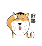 バッハの犬バッハの犬（個別スタンプ：17）